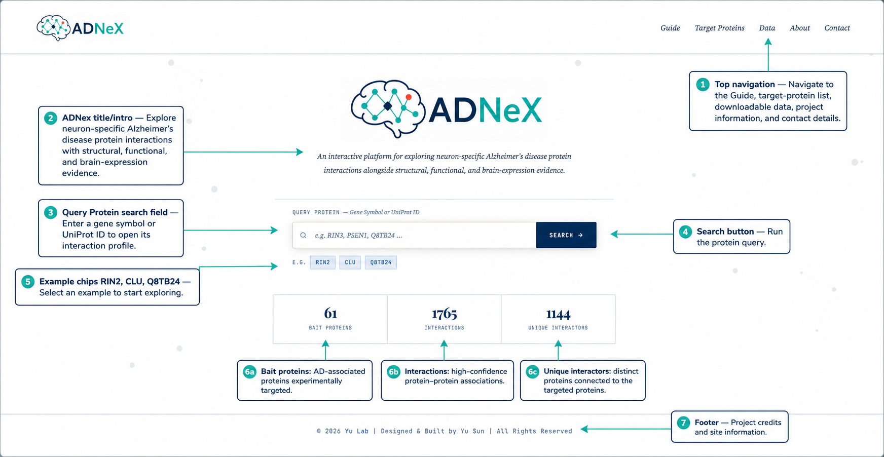 ADNeX guide workflow overview