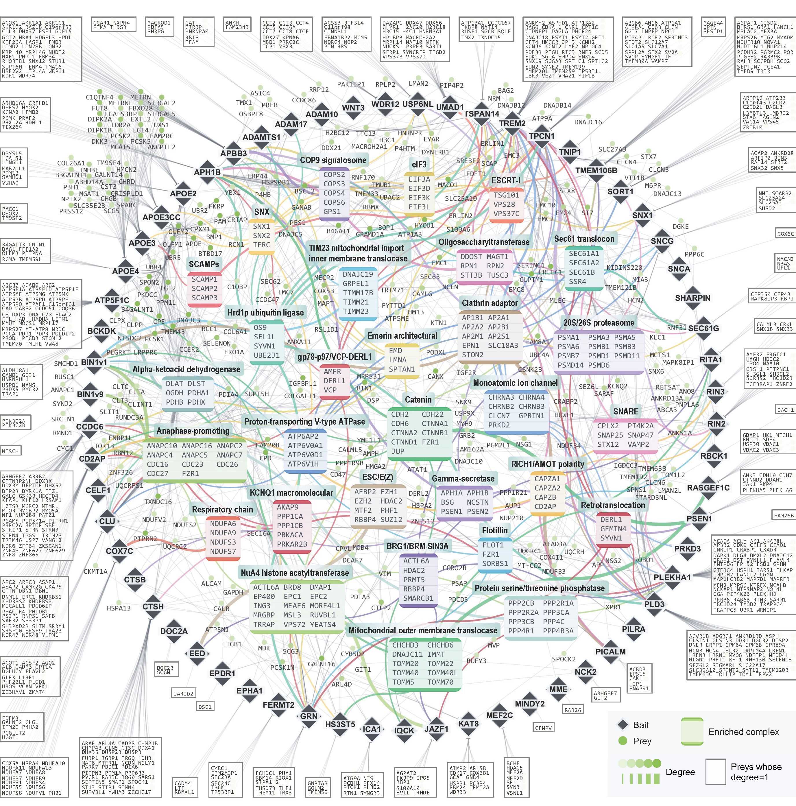 ADNeuronNet project diagram