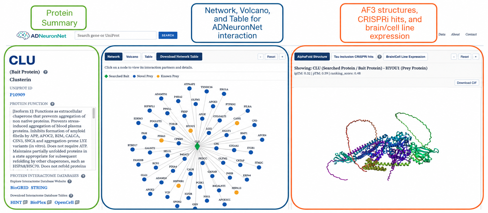 ADNeuronNet guide workflow overview