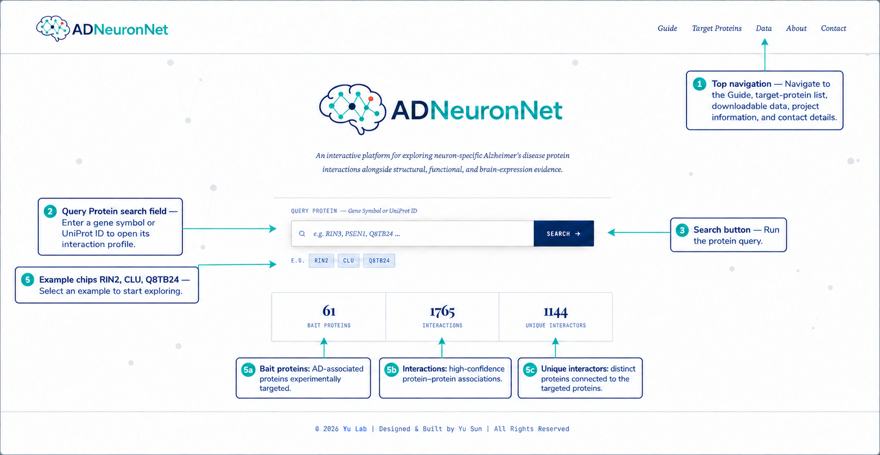 ADNeuronNet guide workflow overview