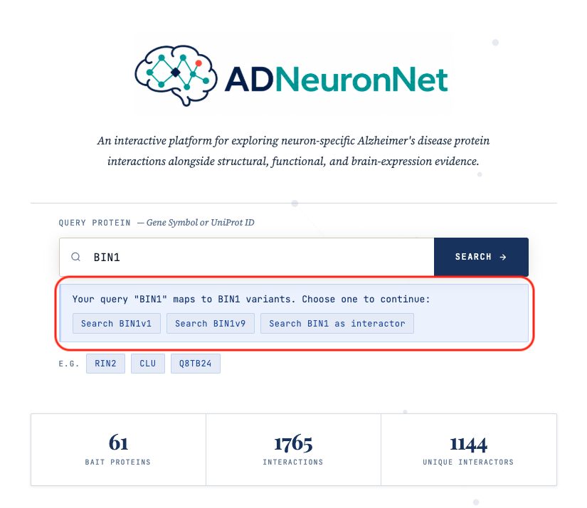ADNeuronNet guide workflow overview