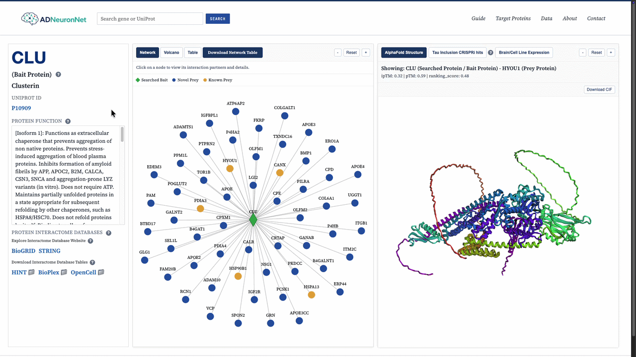 Network guide animation